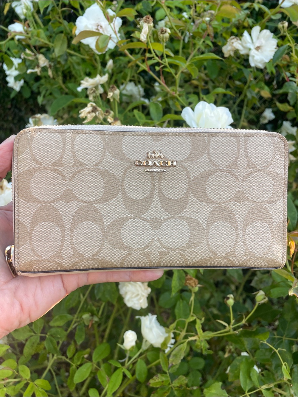 Coach Signature Long Zip Around Wallet Light Khaki Chalk Gold